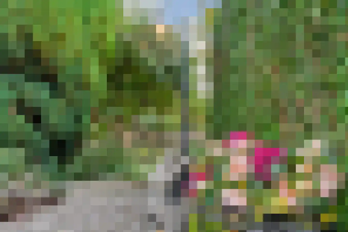 Ronde Zonnedauw 44 Velserbroek thumbnail 77