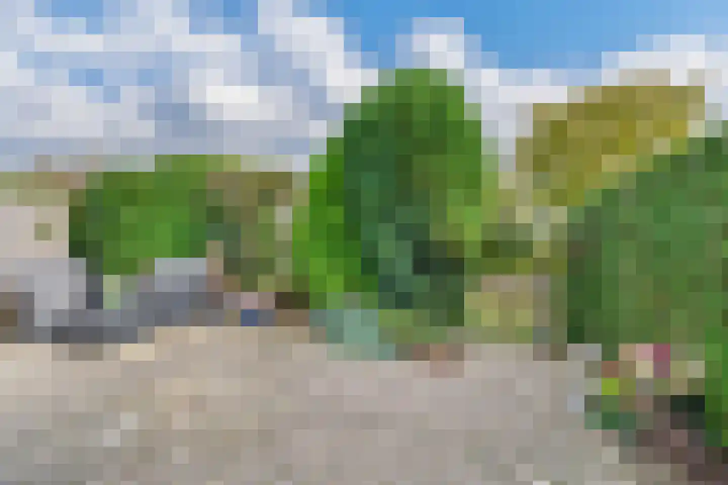 Ronde Zonnedauw 44 Velserbroek thumbnail 79