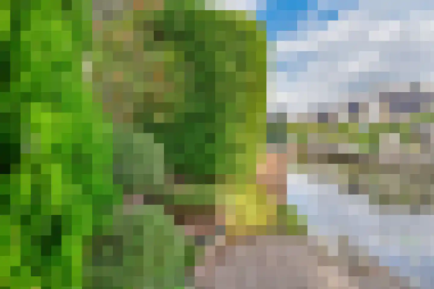 Ronde Zonnedauw 44 Velserbroek thumbnail 81