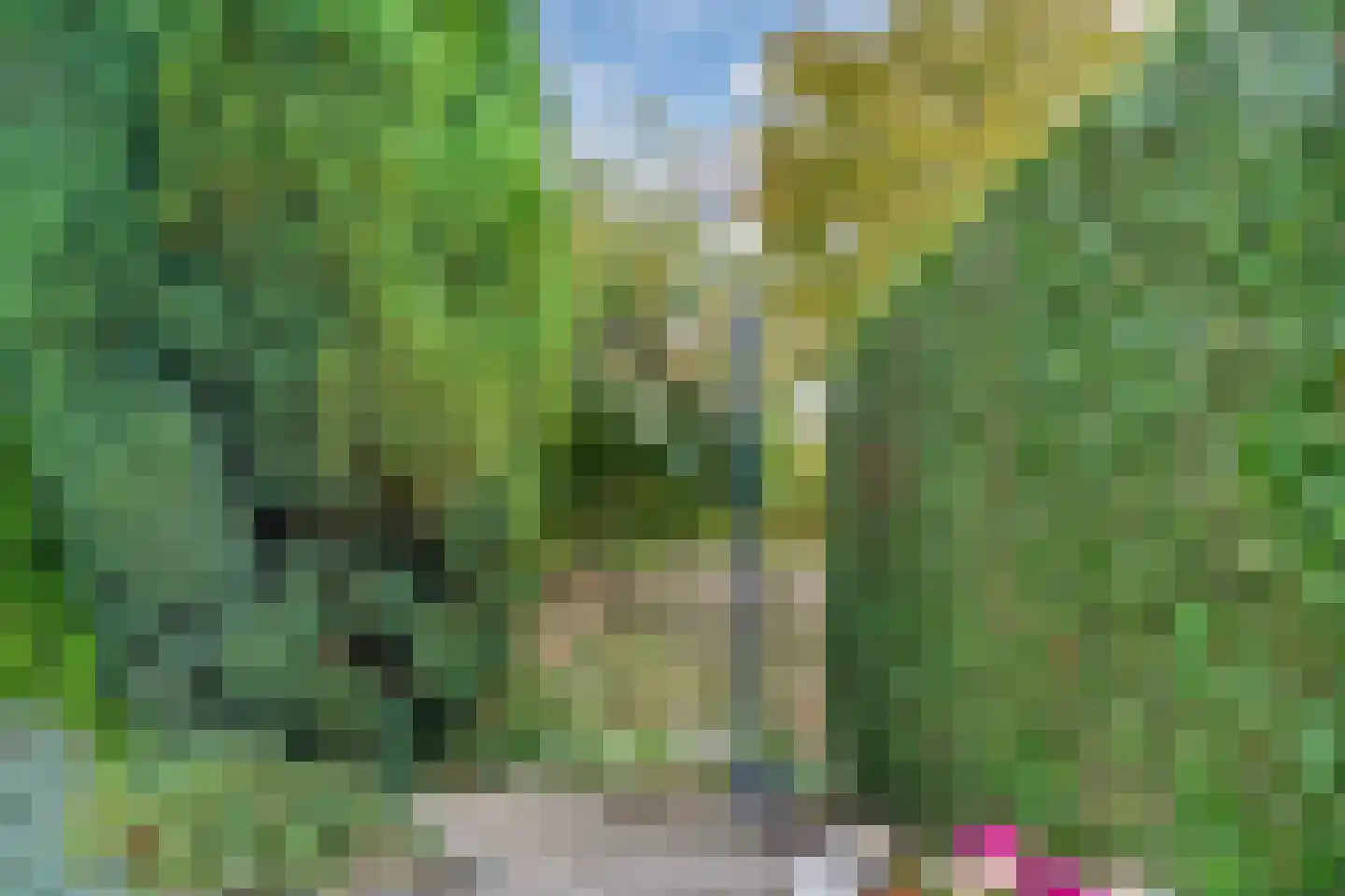 Ronde Zonnedauw 44 Velserbroek thumbnail 82