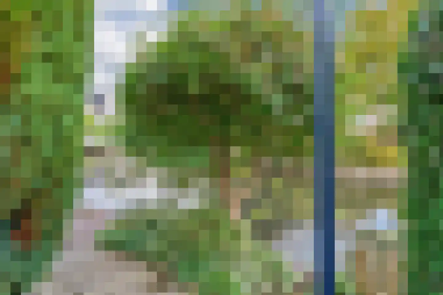 Ronde Zonnedauw 44 Velserbroek thumbnail 83