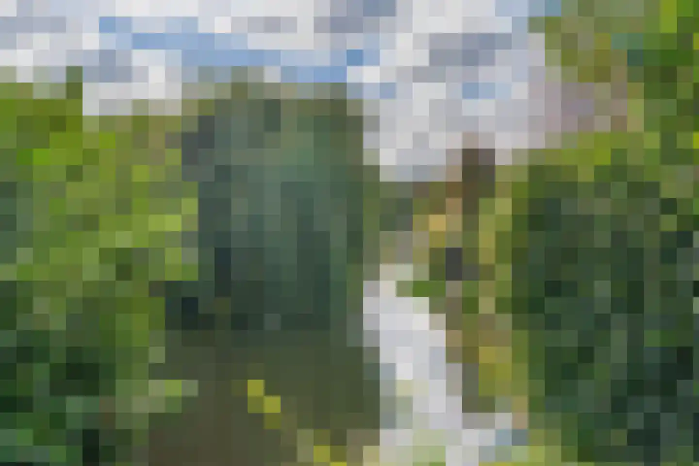 Ronde Zonnedauw 44 Velserbroek thumbnail 84