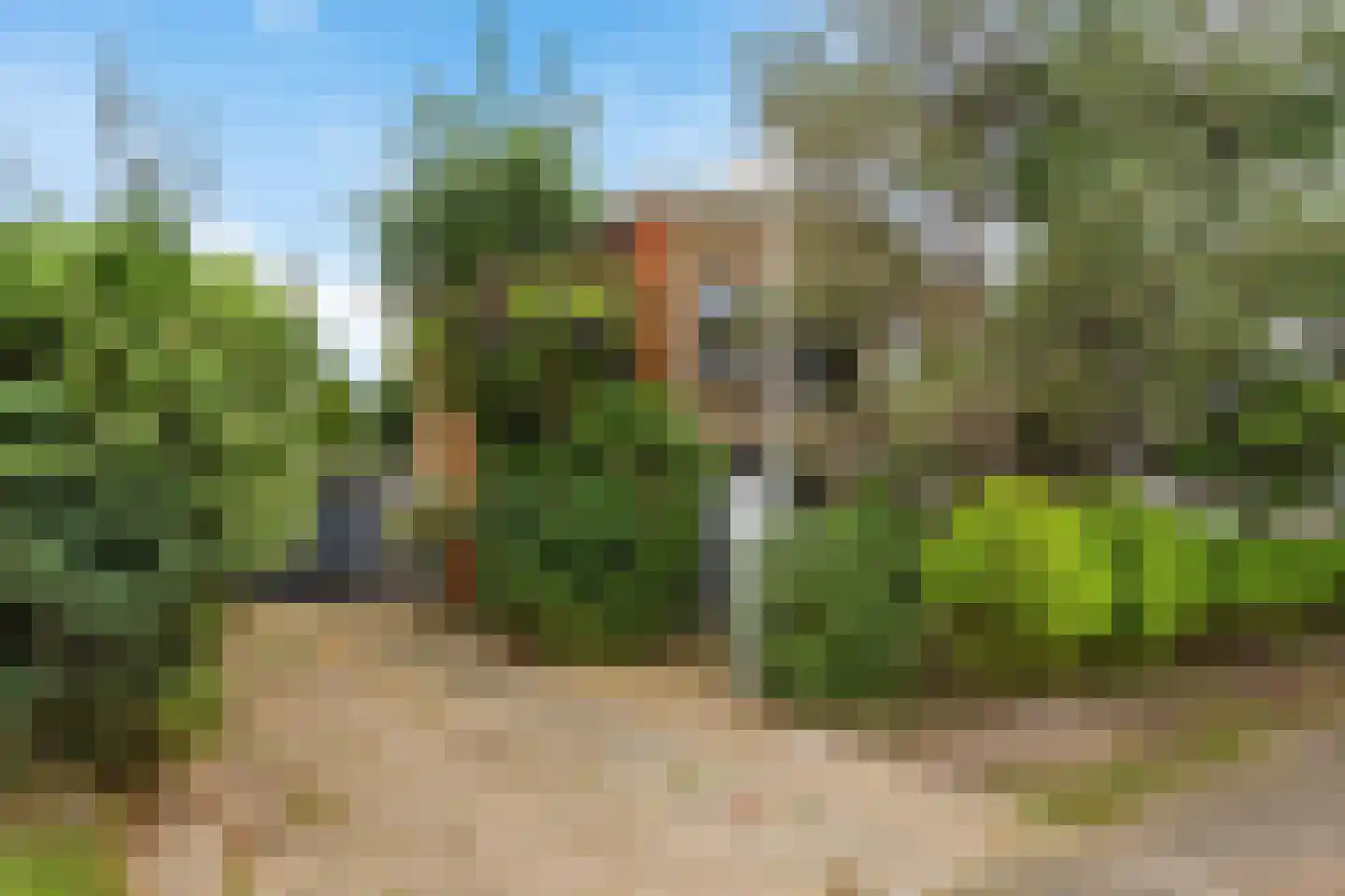 Rondeboslaan 6 in Farmsum