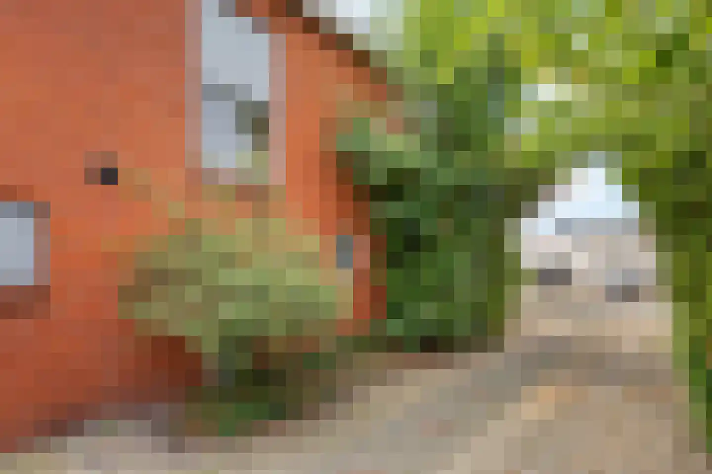 Rondeboslaan 6 Farmsum thumbnail 13