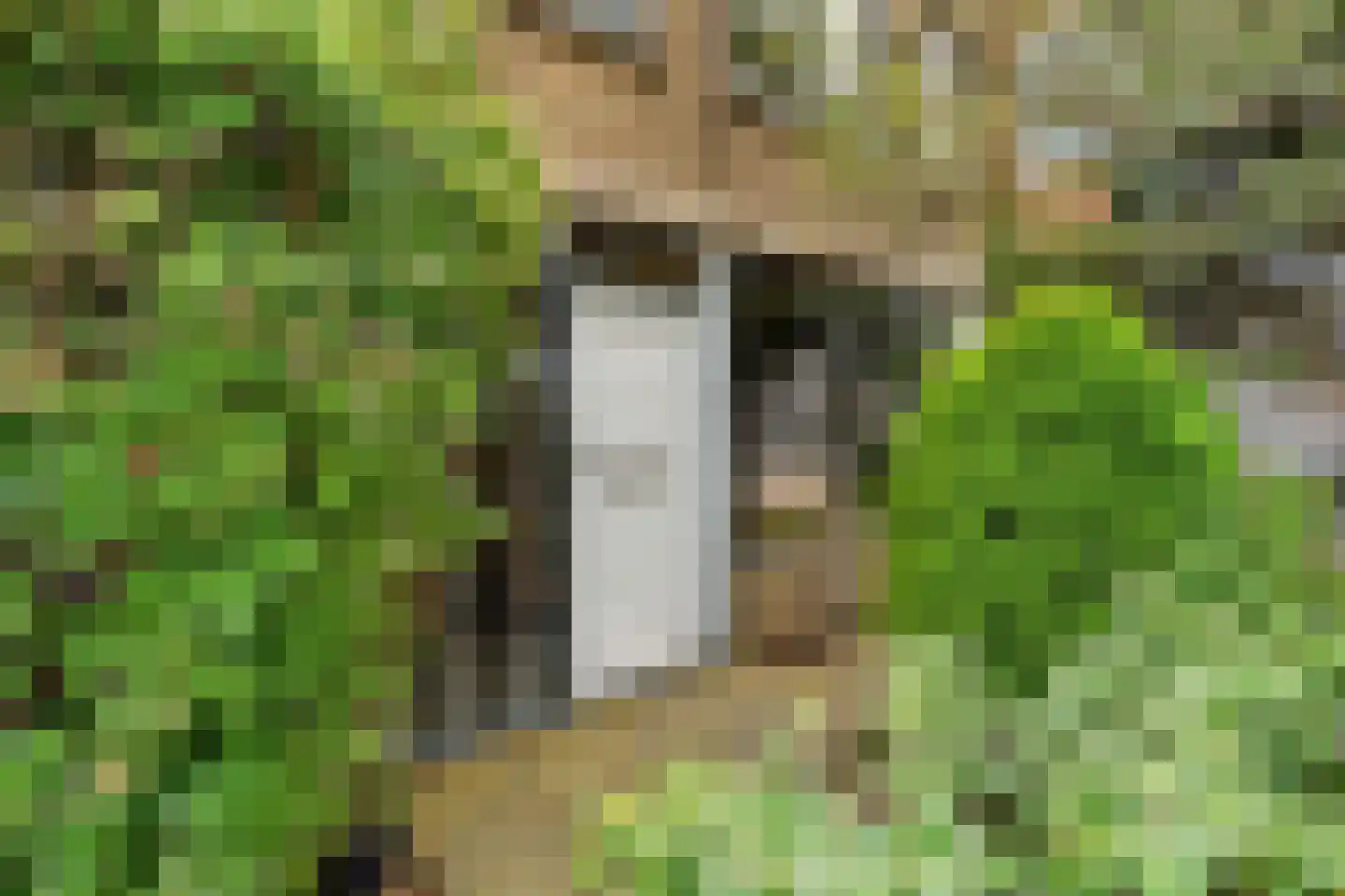 Rondeboslaan 6 Farmsum thumbnail 14