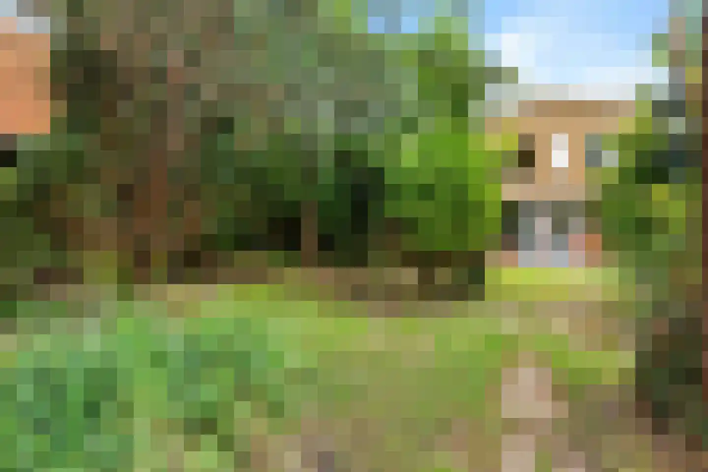 Rondeboslaan 6 Farmsum thumbnail 16