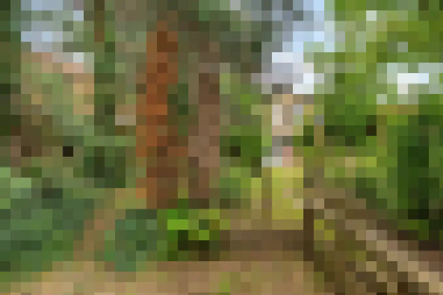 Rondeboslaan 6 Farmsum thumbnail 24