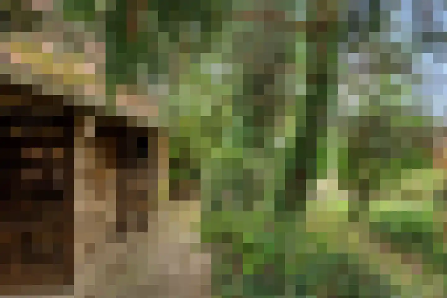 Rondeboslaan 6 Farmsum thumbnail 25