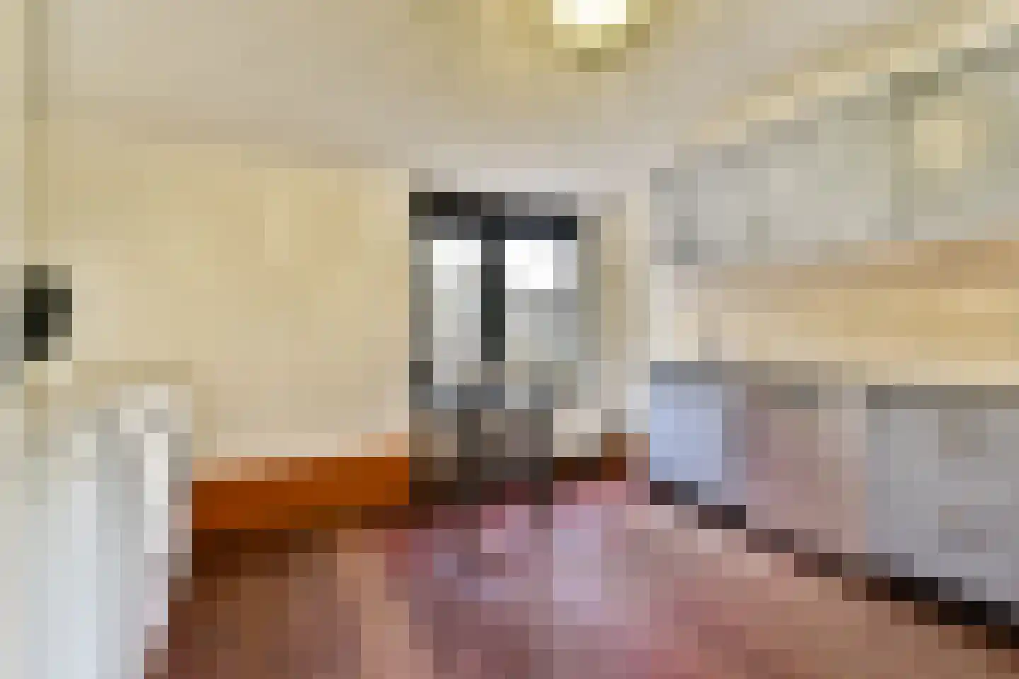 Rondebreek 220 Landsmeer thumbnail 10
