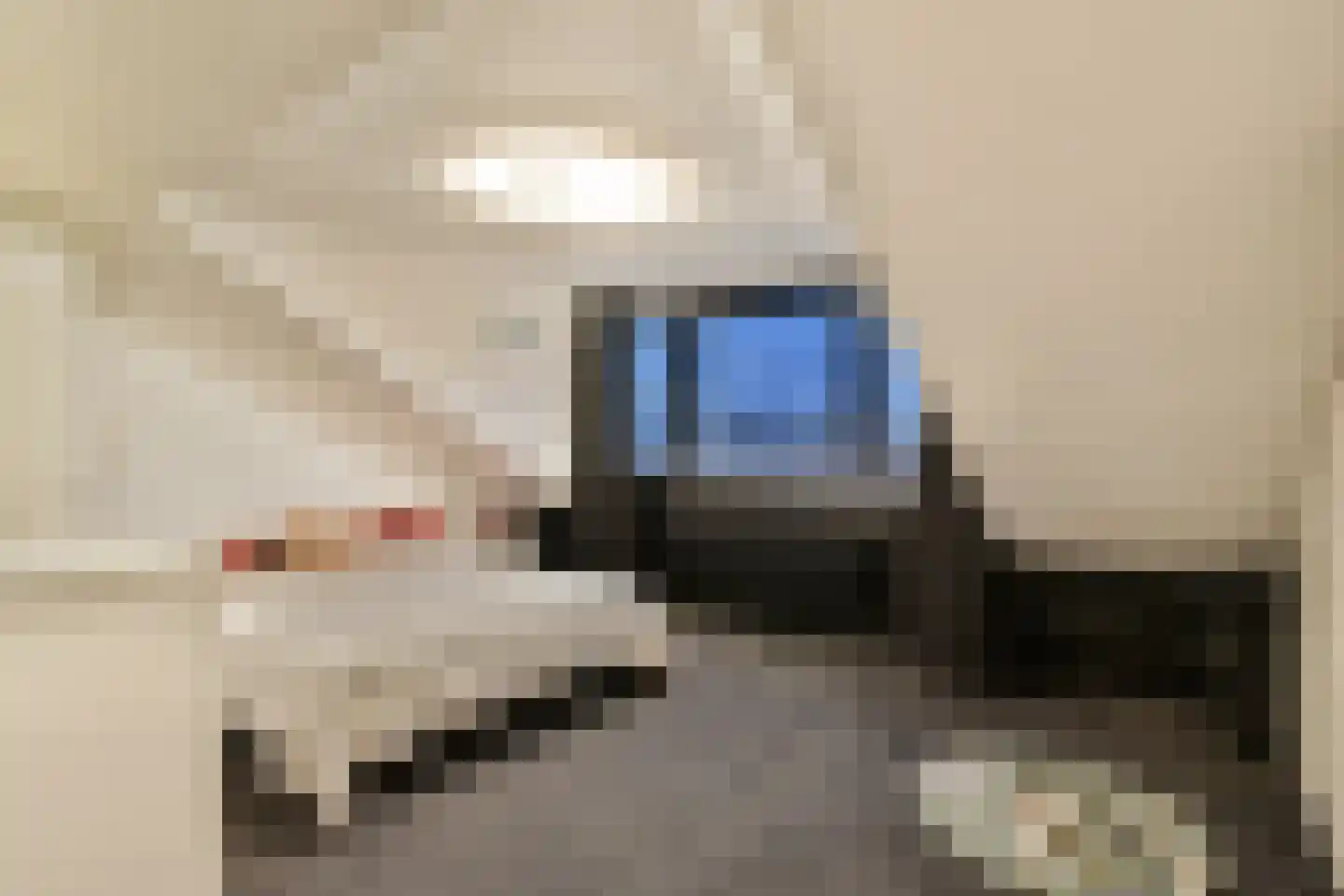 Rondebreek 220 Landsmeer thumbnail 19