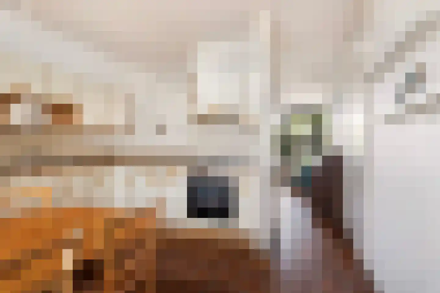 Rondedans 18 Capelle aan den IJssel thumbnail 15