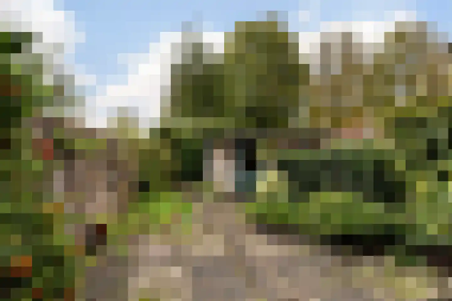 Rondedans 18 Capelle aan den IJssel thumbnail 9