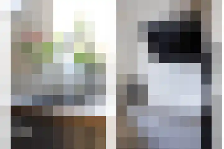 Rondedans 44 Capelle aan den IJssel thumbnail 10
