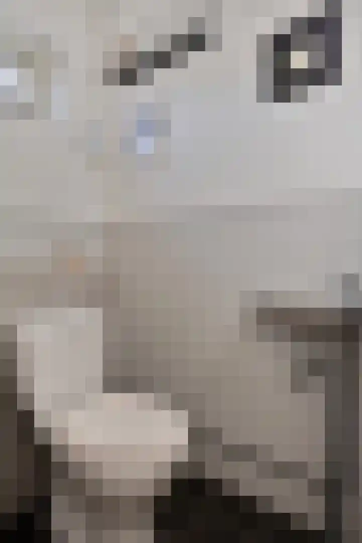 Rondedans 44 Capelle aan den IJssel thumbnail 12