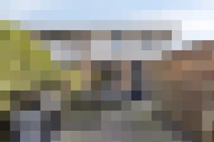 Rondedans 44 Capelle aan den IJssel thumbnail 13