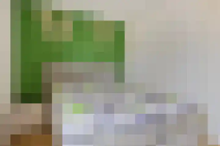 Rondedans 44 Capelle aan den IJssel thumbnail 15