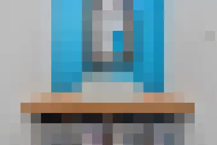 Rondedans 44 Capelle aan den IJssel thumbnail 18