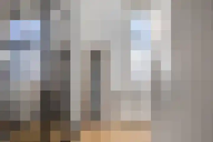 Rondedans 44 Capelle aan den IJssel thumbnail 21
