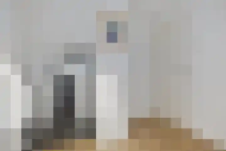 Rondedans 44 Capelle aan den IJssel thumbnail 22