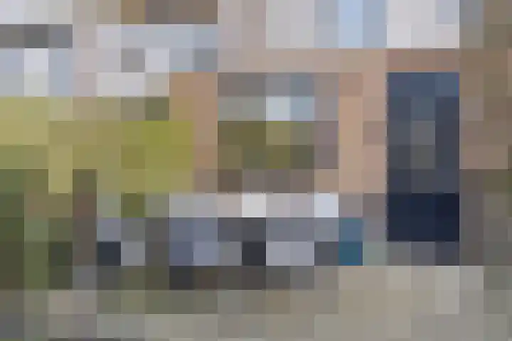 Rondedans 44 Capelle aan den IJssel thumbnail 24