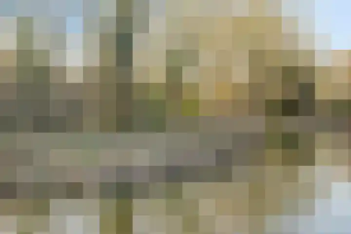 Rondedans 44 Capelle aan den IJssel thumbnail 27
