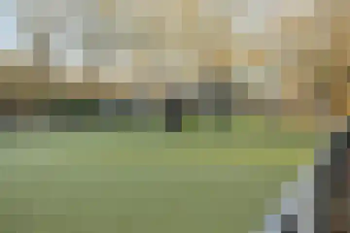 Rondedans 44 Capelle aan den IJssel thumbnail 28