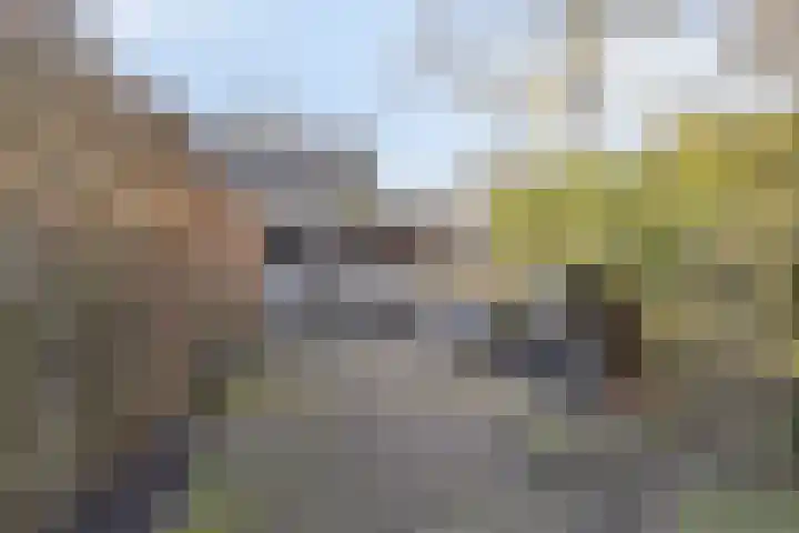 Rondedans 44 Capelle aan den IJssel thumbnail 4