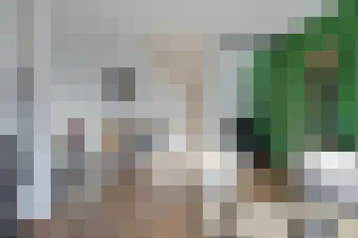 Rondedans 44 Capelle aan den IJssel thumbnail 5