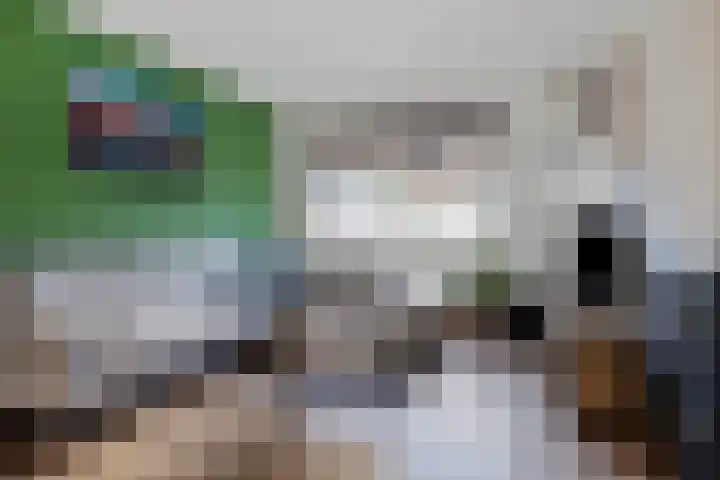 Rondedans 44 Capelle aan den IJssel thumbnail 6