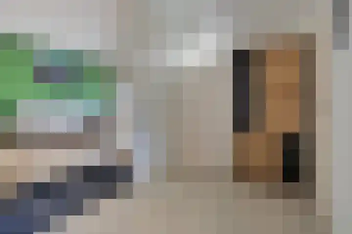 Rondedans 44 Capelle aan den IJssel thumbnail 8