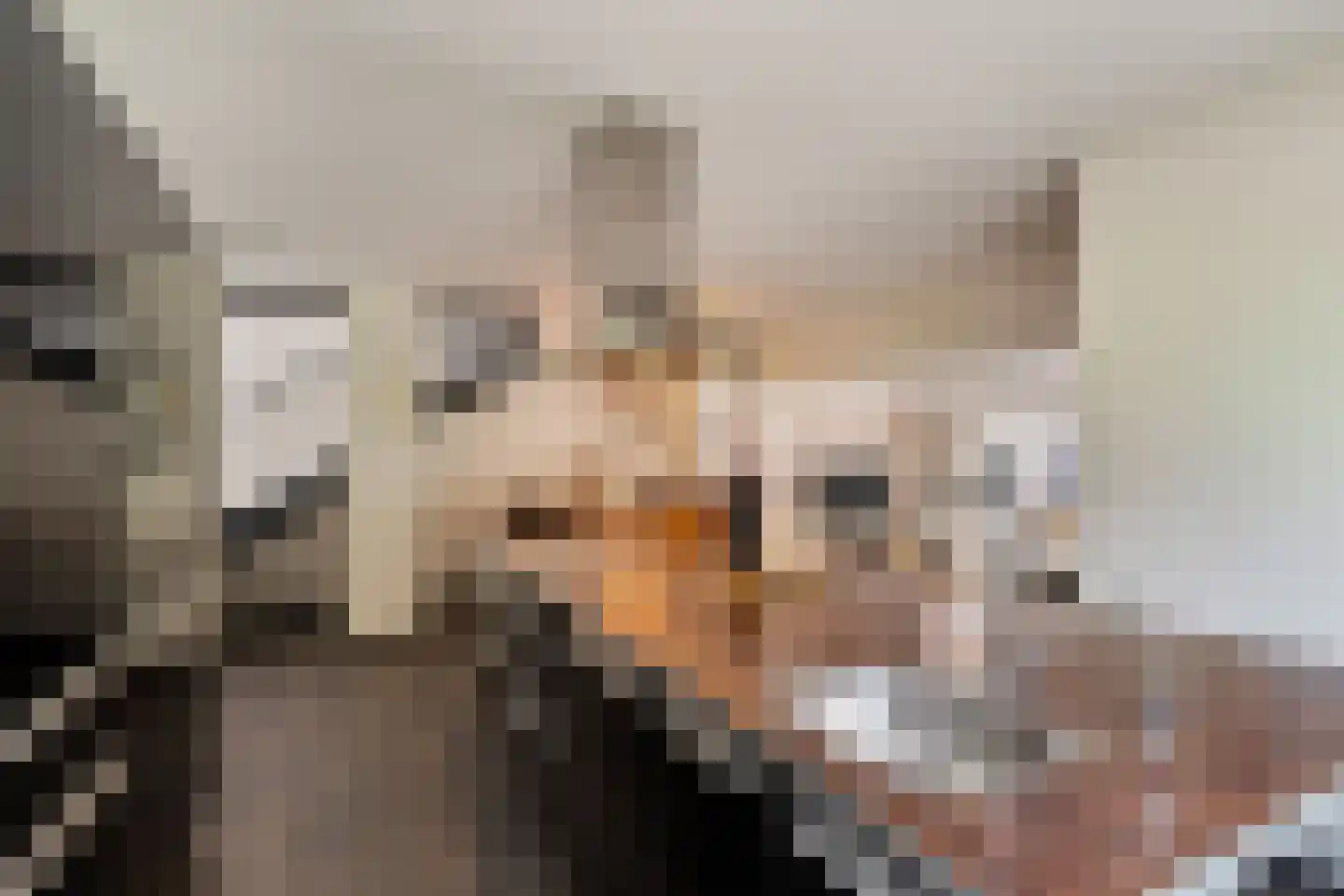 Rondedans 46 Capelle aan den IJssel thumbnail 12