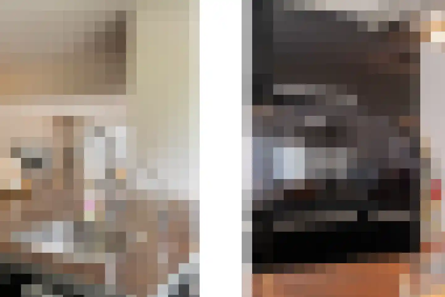 Rondedans 46 Capelle aan den IJssel thumbnail 13
