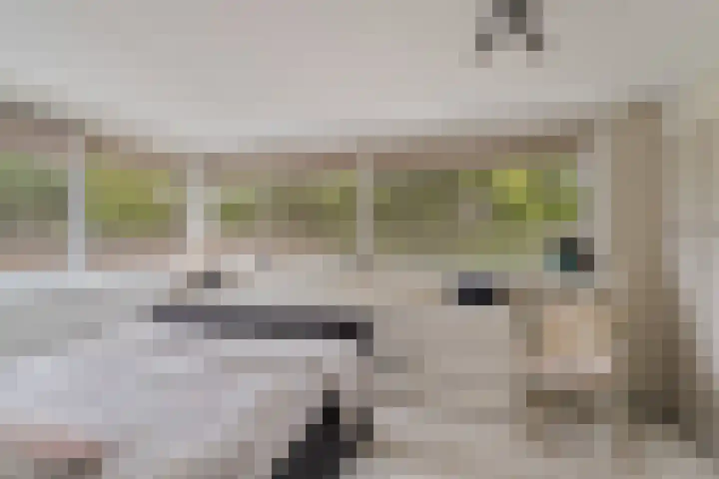 Rondedans 46 Capelle aan den IJssel thumbnail 16