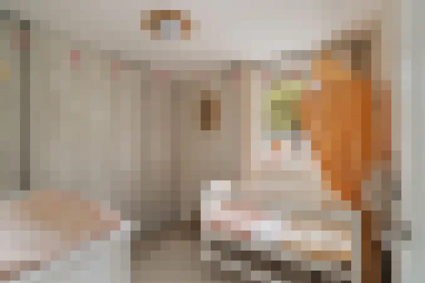 Rondedans 46 Capelle aan den IJssel thumbnail 19