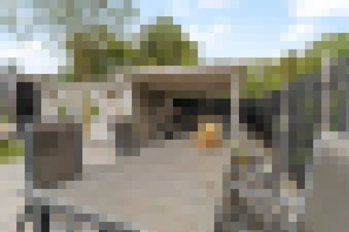 Rondedans 46 Capelle aan den IJssel thumbnail 24