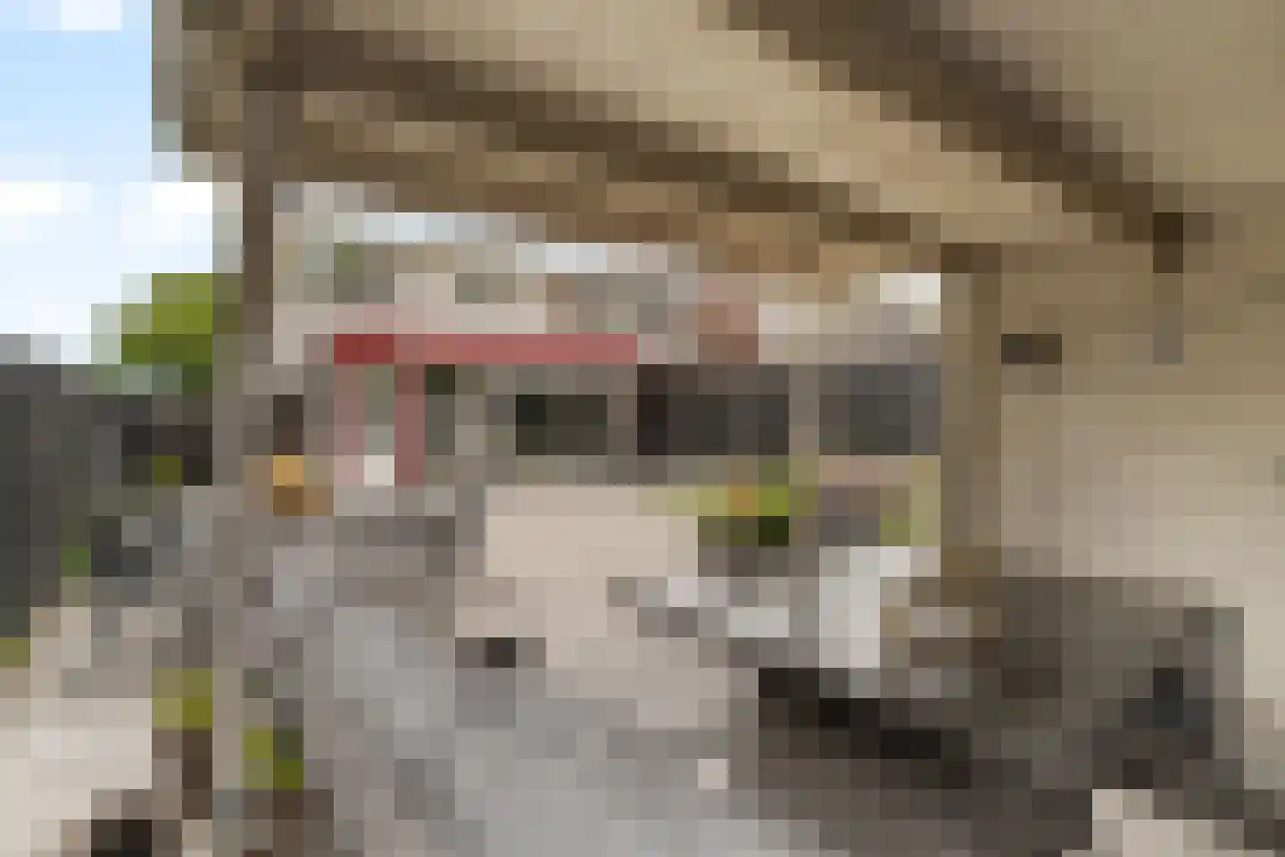 Rondedans 46 Capelle aan den IJssel thumbnail 25