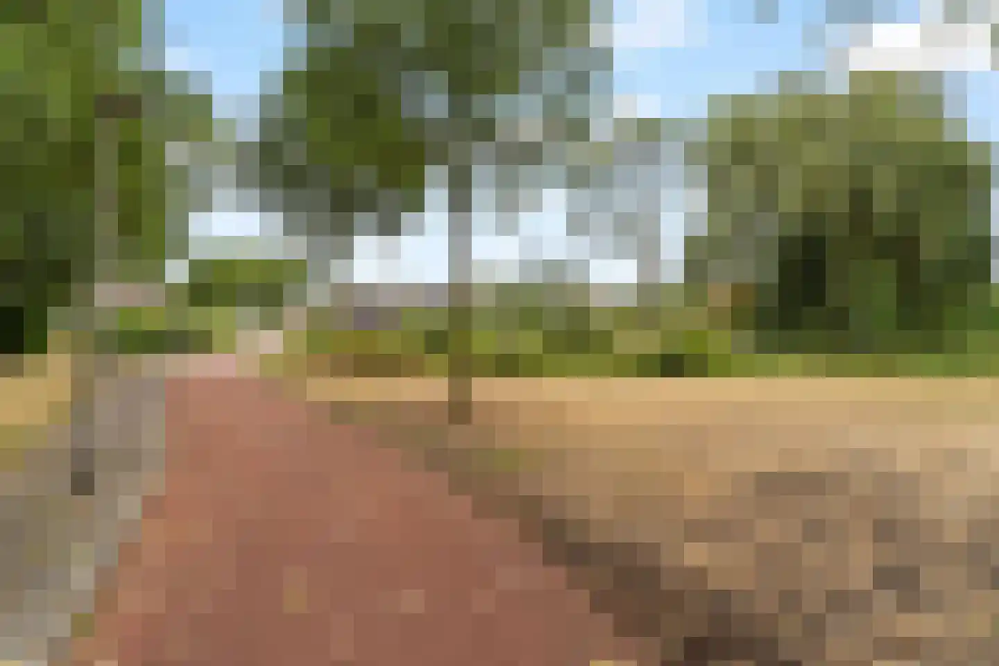 Rondedans 46 Capelle aan den IJssel thumbnail 29