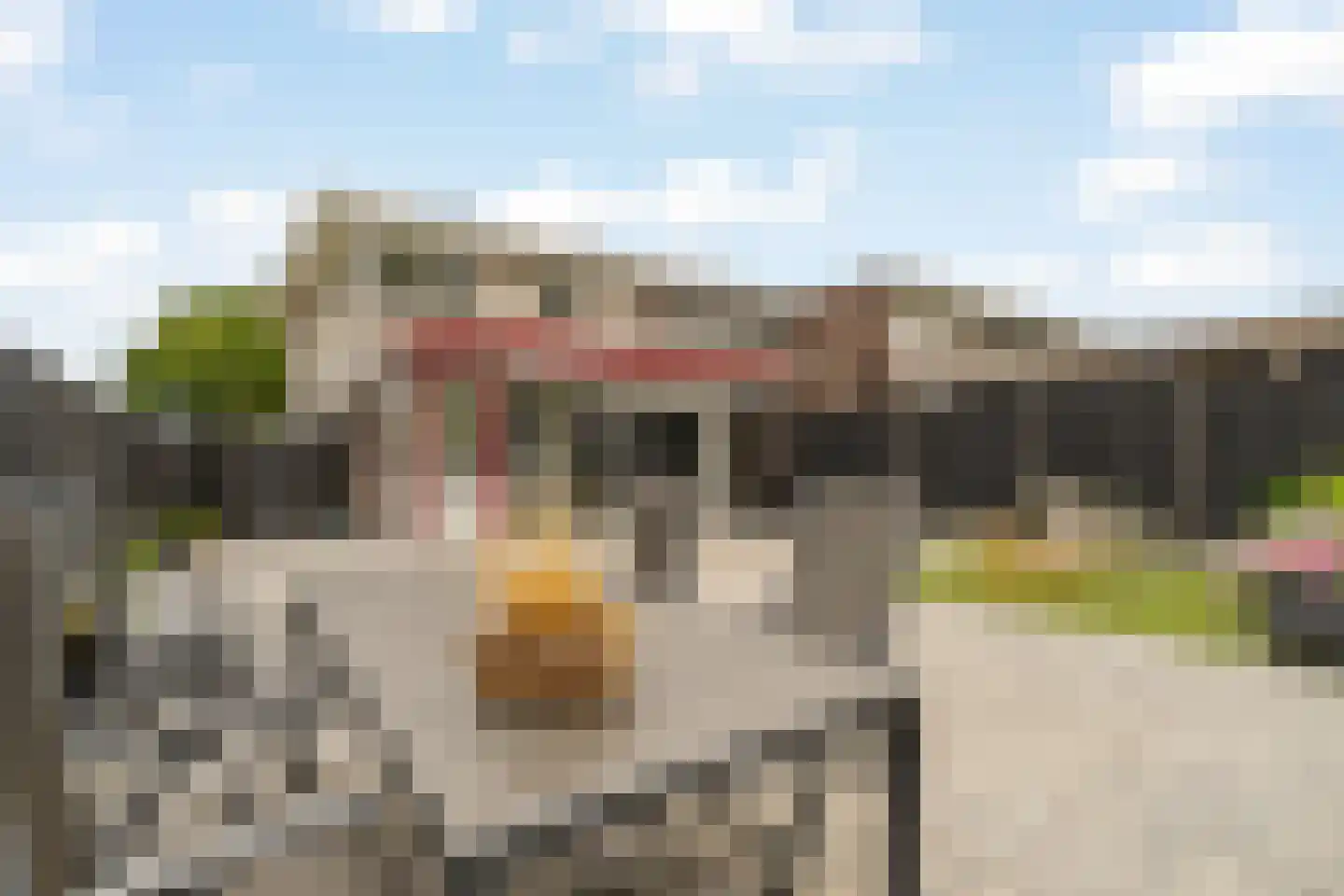 Rondedans 46 Capelle aan den IJssel thumbnail 4