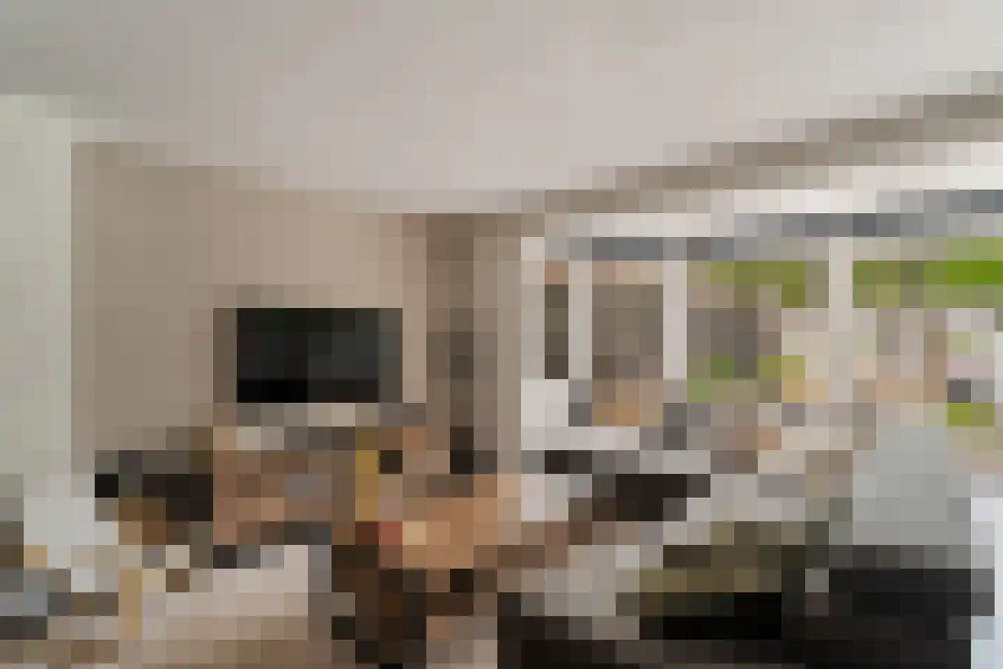 Rondedans 46 Capelle aan den IJssel thumbnail 5