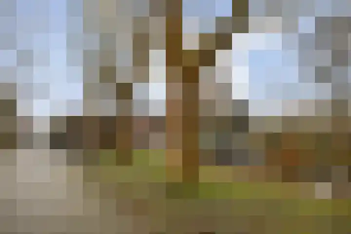 Rondeel 112 Amsterdam thumbnail 22