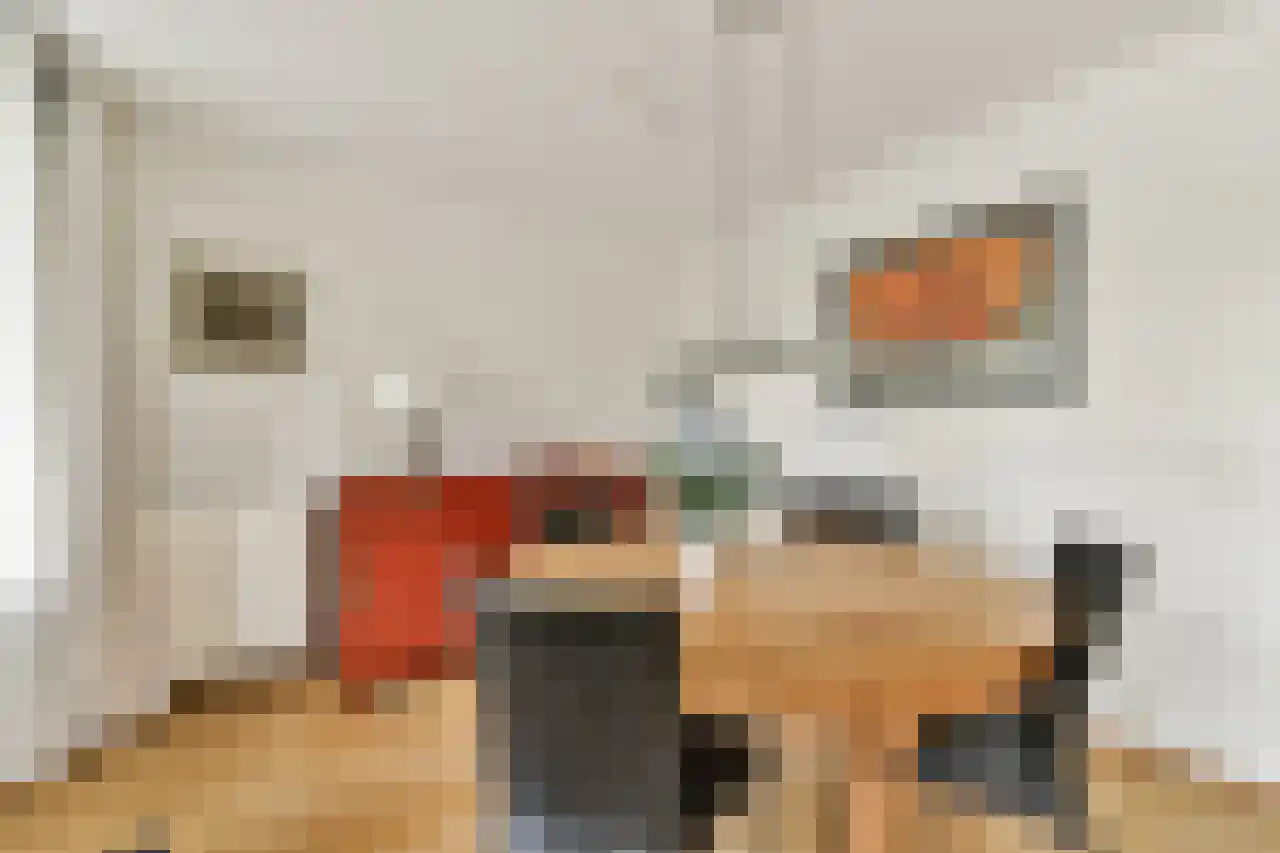 Rondeel 12 Amsterdam thumbnail 12