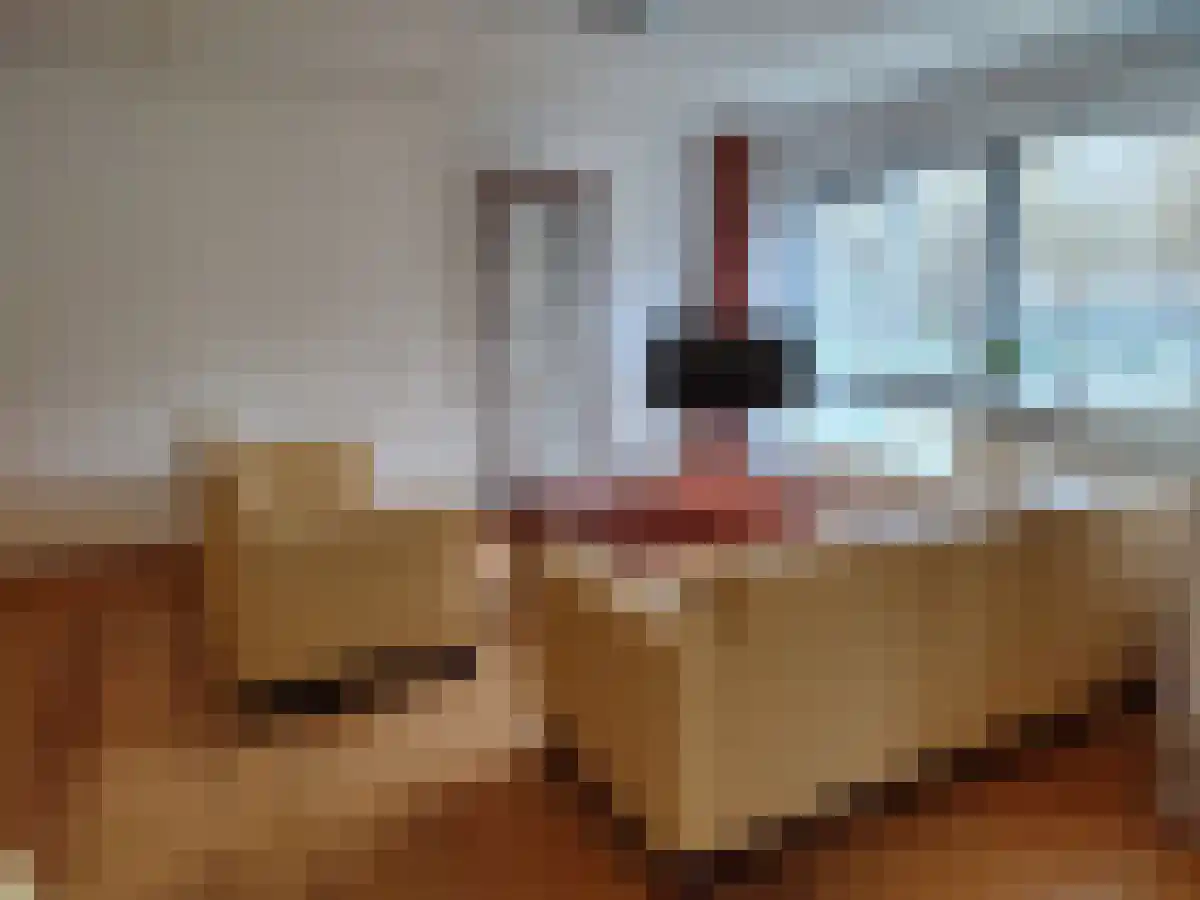 Rondeel 132 Amsterdam thumbnail 5