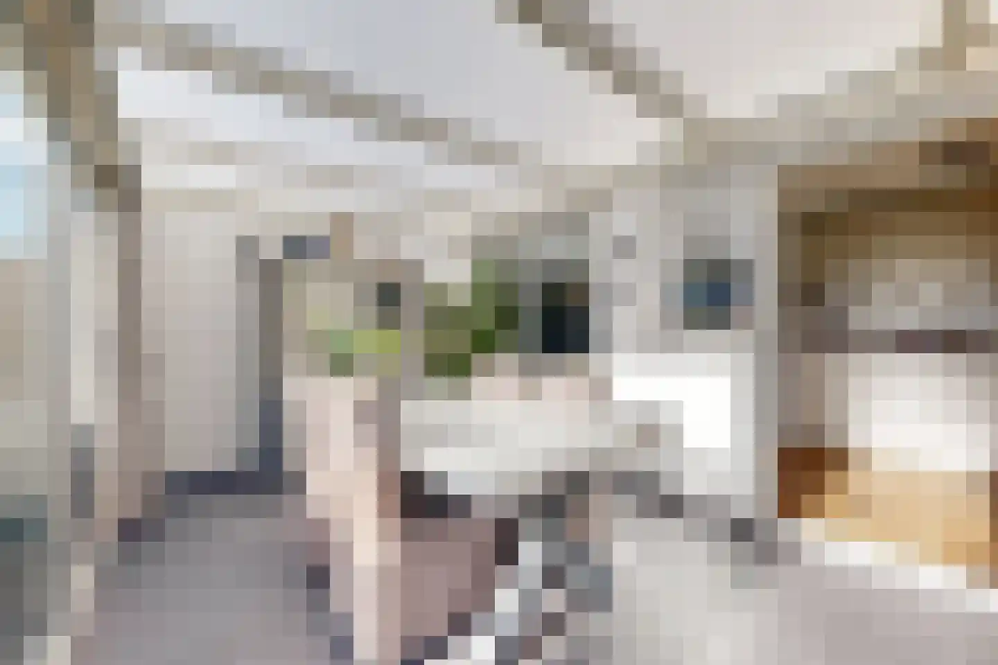 Rondeel 146 Klundert thumbnail 28
