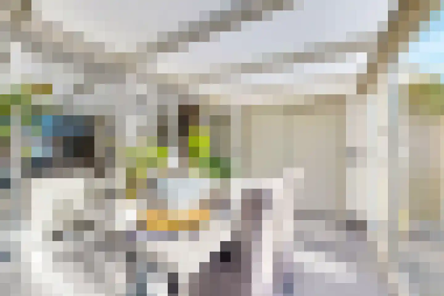 Rondeel 146 Klundert thumbnail 29