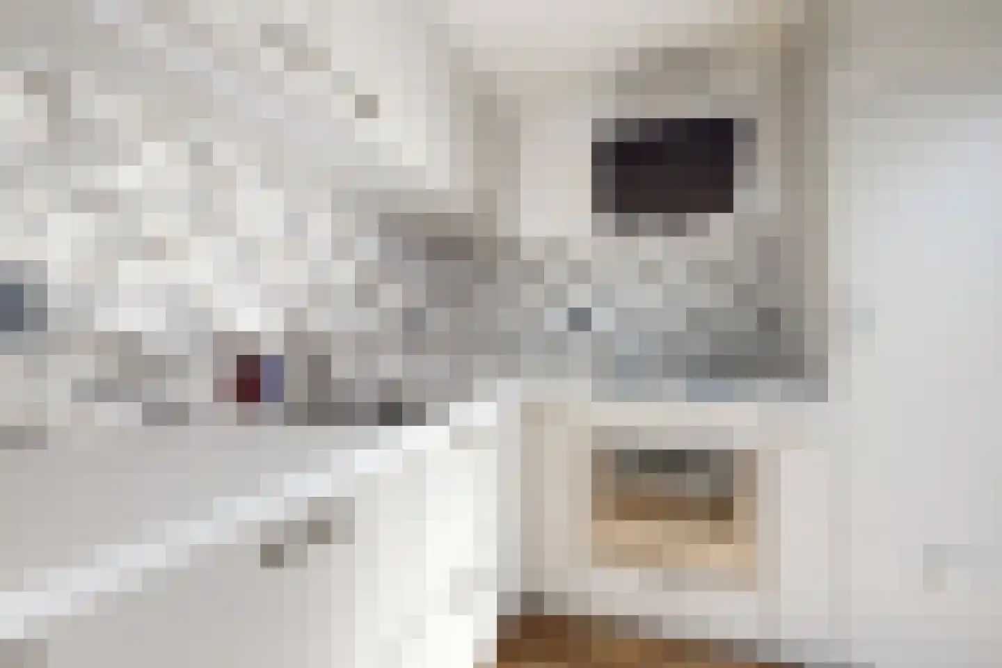 Rondeel 146 Klundert thumbnail 4