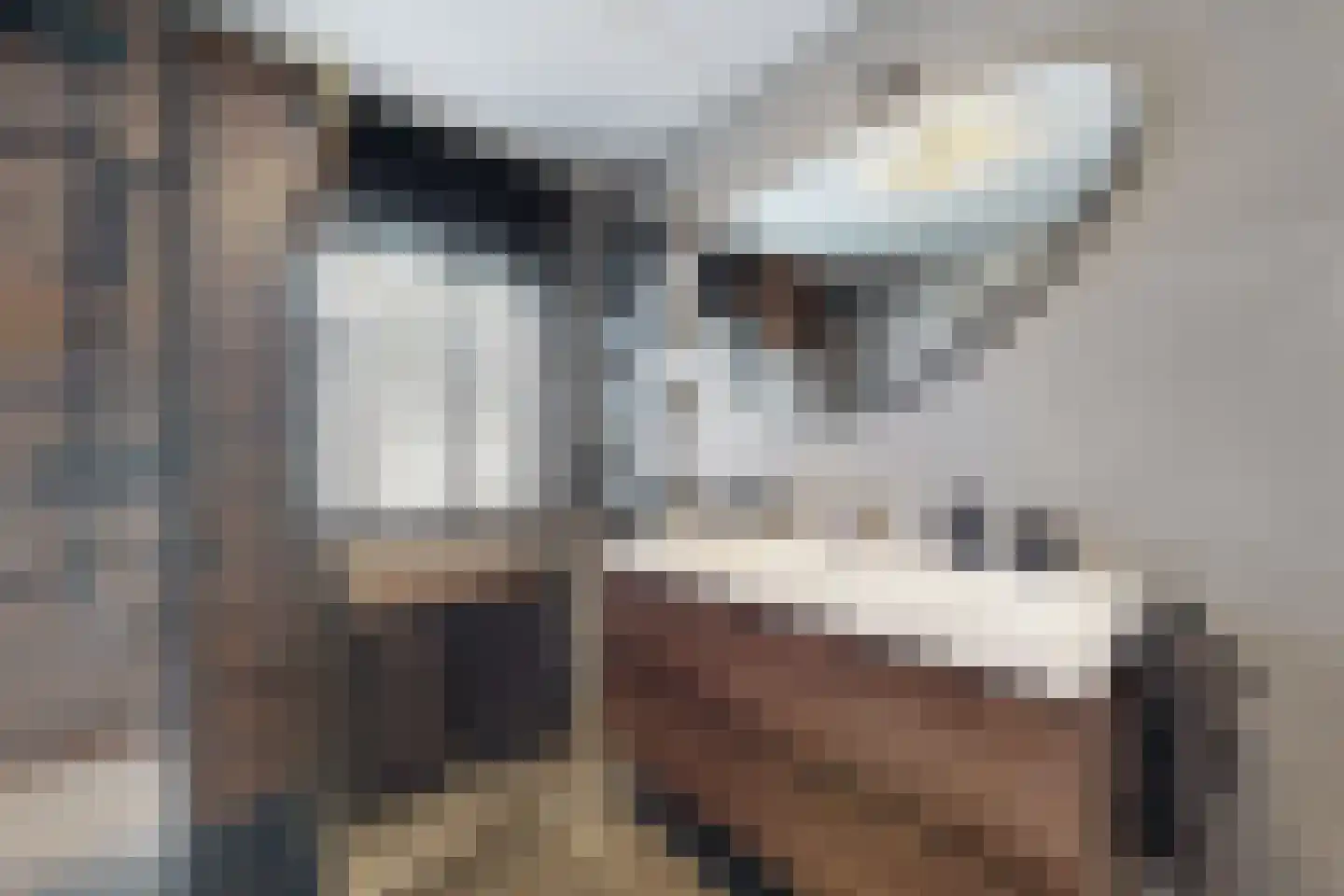 Rondeel 146 Klundert thumbnail 6