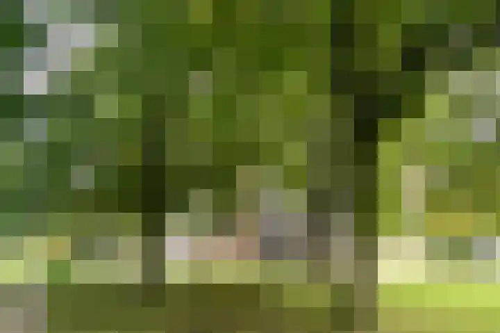 Rondeel 15 Leusden thumbnail 14
