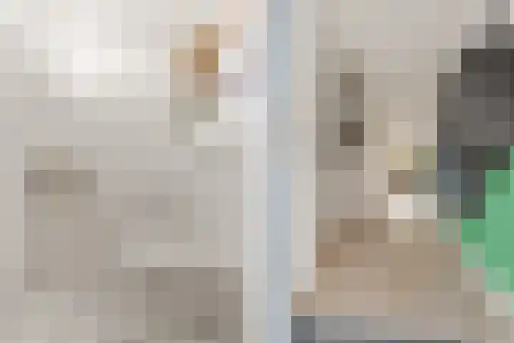 Rondeel 15 Leusden thumbnail 5