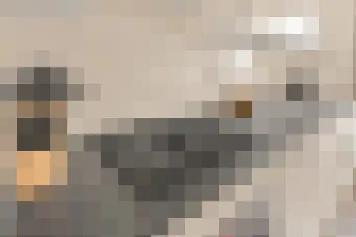 Rondeel 15 Leusden thumbnail 8