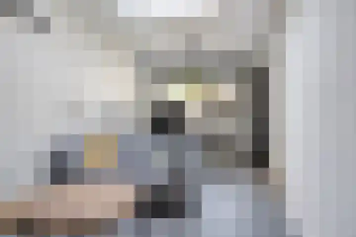 Rondeel 2 Uden thumbnail 13